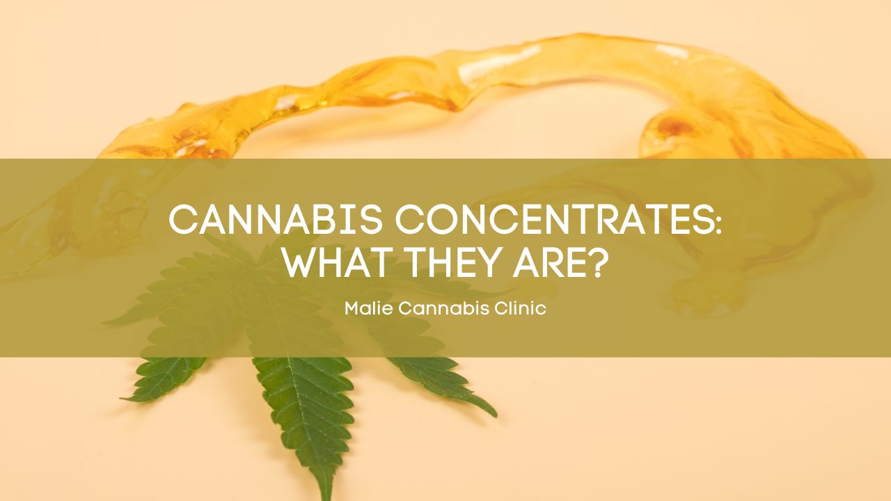 Cannabis Concentrates: What They Are?